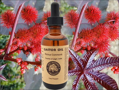 Castor Oil (Organic Expeller Pressed) for dry - 4 fl oz - Diffusers Oils & Candles