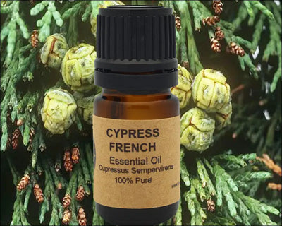 Cypress Essential Oil 10ml 15ml - Diffusers Oils & Candles