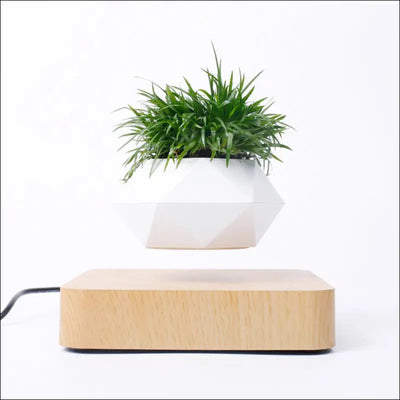 Novelty levitating flowerpot with magnetic rotation and wooden base.
