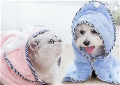 Cat and dog wearing soft pet bathrobes for warmth and comfort after bath