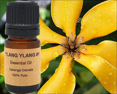Ylang Essential Oil 5 ml 10 or 15 - Diffusers Oils & Candles
